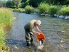 IMG-20260620-WA00031