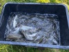 IMG-20260620-WA0006
