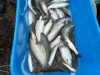 IMG-20260415-WA0001