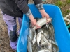 IMG-20260415-WA0002