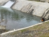IMG-20260415-WA0005