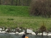 IMG-20260415-WA0009