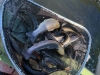 IMG-20260418-WA0001