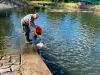 IMG-20260729-WA0002