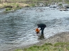 IMG-20260412-WA0002